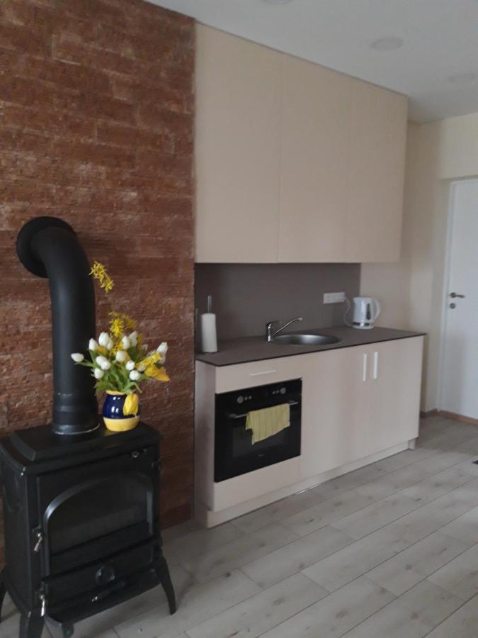 Liux Apartamentai Kaunas Kültér fotó